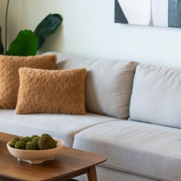 a couch with a coffee table and a plant on it